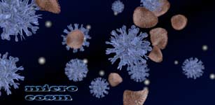 Der Microkosmos